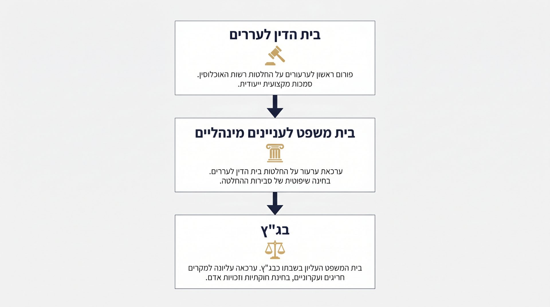 עתירה לבג״ץ בנושאי הגירה: מדריך להגנה על זכויותיכם בבית המשפט העליון
